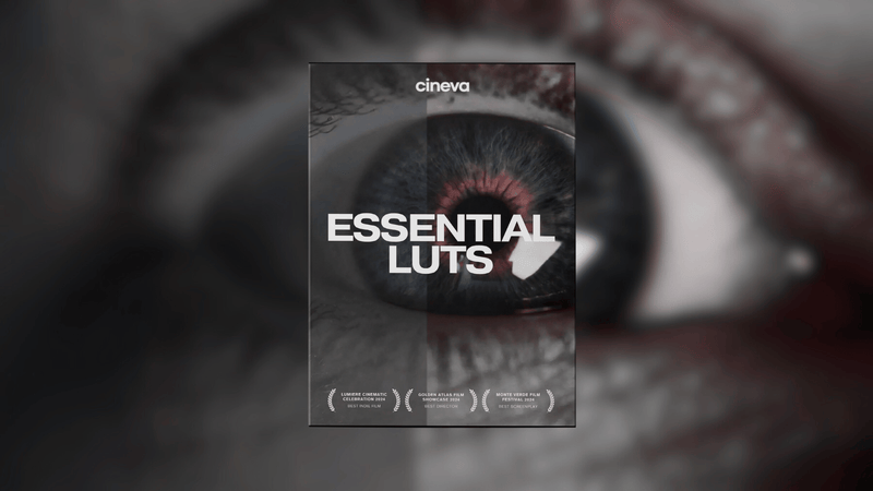 ESSENTIAL LUTS