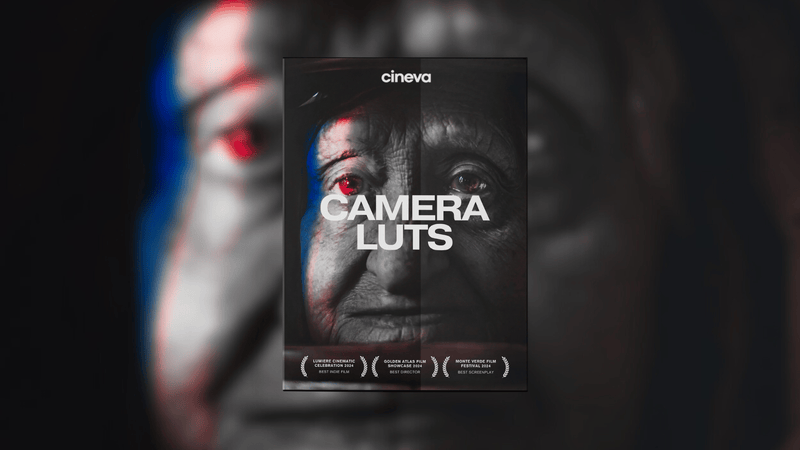 CAMERA LUTS